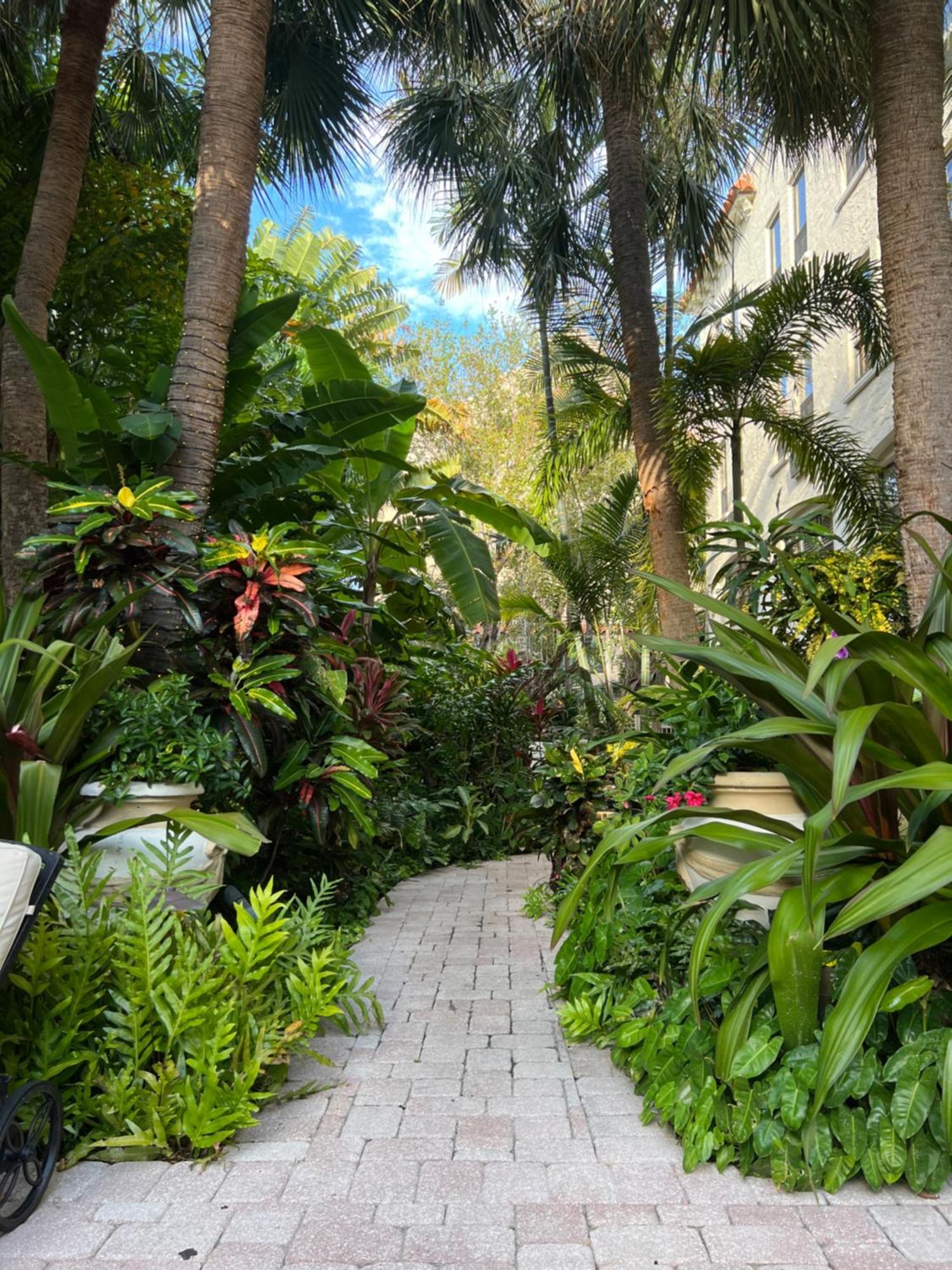 Orchid Suites - Historic Palm Beach Hotel Condominium Ngoại thất bức ảnh