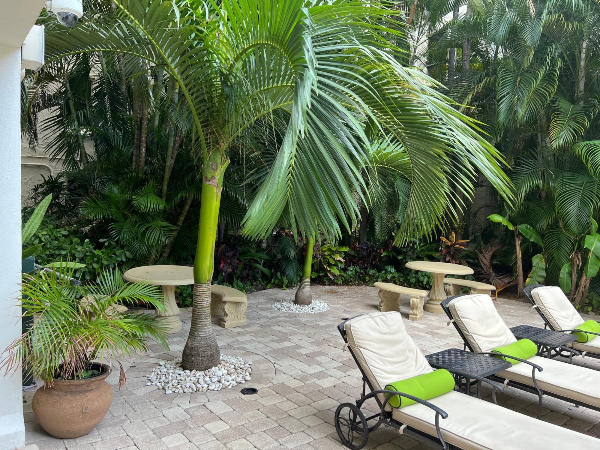 Orchid Suites - Historic Palm Beach Hotel Condominium Ngoại thất bức ảnh